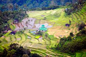 Padang Indonesia Book Cheap Flights Online Activities Rest Of The World