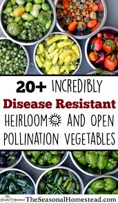 These mildew resistent can be applied to many different materials. 20 Disease Resistant Open Pollination Vegetable Varieties The Seasonal Homestead