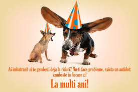 Check spelling or type a new query. La Multi Ani Pentru Barbati Haioase