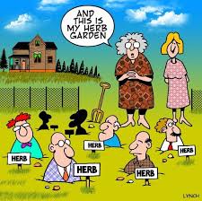 Two Men and a Little Farm | Gardening humor, Herb garden, Herbs
