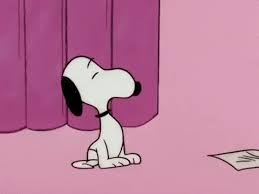 With tenor, maker of gif keyboard, add popular snoopy merry christmas images animated gifs to your conversations. Snoopy Gifs Get The Best Gif On Giphy