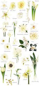 Flower Names By Color Wedding Flower Types White Flowers Names Flower Names