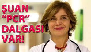 Having completed the medicine faculty of. 5g Virus News Platformu On Twitter 1 Degerli Arkadaslar Diye Baslayan Prof Dr Gulumser Heper In Aciklamasi Biliyorsunuz Covid Konusunda Bazi Kisa Paragraflarda Bilgi Vermeye Calisiyorum Ancak Toplumun Bilgisi Oldukca Sinirli Https T