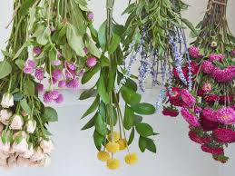 This pretty, itty, bitty, bunch of flowers can make the rest. Tips For Harvesting Drying And Storing Flowers