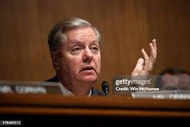 414 Graham Mcnamee Photos & High Res Pictures