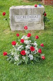 The secretariat is responsible for servicing the prasar bharati board and ensuring the execution of decisions taken by it. Pin On Legendary Race Horses