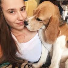 The beagle classifieds have moved! 38 Beagle Colors Ideas Beagle Beagle Colors Beagle Puppy