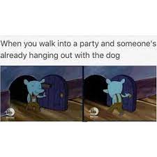 Dopl3r Com Memes When You Walk Into A Party And Someones Already Hanging Out With The Dog