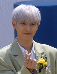 Exo #chanyeol everything you will do. Park Chan Yeol Simple English Wikipedia The Free Encyclopedia
