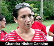 The Roads To Caribbean Shores