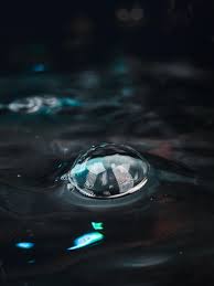 8 Indoor Photography Ideas To Get Your Through The Winter Micro Four Nerds Indoor Photography Macro Photography Macro Photography Tips