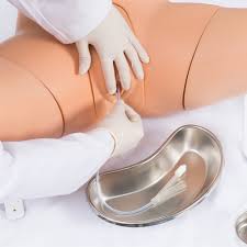 Female Catheterization Simulator – BT GLOBAL