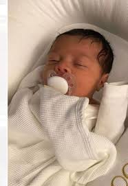 Introduction of new chiweenie owner