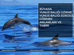 Ruyada Yunus Baligi Gormek Yakalamak Ve Beslemek Ne Anlama Gelir Islami Ve Dini Ruya Tabirleri Gercek Islami Kaynaklardan Diyanet Ve Ihya Ruya Tabirleri