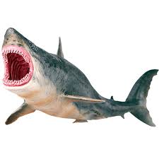 Download megalodon images and photos. Great White Shark Toys Megalodon Plastic Assorted Ocean Animal Realistic Shark Figurine Party Favor Sea Animal Education Cognitive Toy Shark Model For Kids Walmart Com Walmart Com