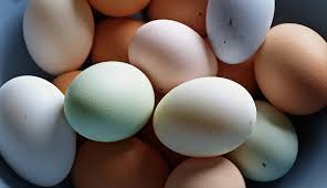 7 Chicken Breeds To Raise For Colorful Eggs Hobby Farms See more of the colorful chicken on facebook.