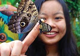 2016-17 ANNUAL REPORT