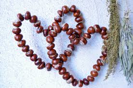 Diy Habt Ein Kastanienherz Poostebloom Kastanien Basteln Basteln Herbst Herbst Dekoration