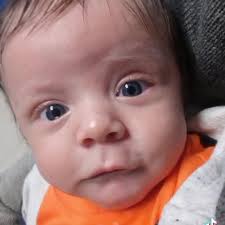 Rapjr's Construction