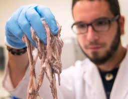 Engineering the next innovation in healthcare