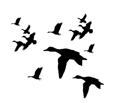 Black And White Silhouette Goose Decoys Duck Flying Silhouette Clipart Best Silhouette Painting Duck Silhouette Silhouette