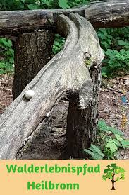 Walderlebnispfad Heilbronn Erlebnis Ausflug Wald