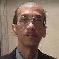 Rene Raymond Stiaes Obituary (2025)