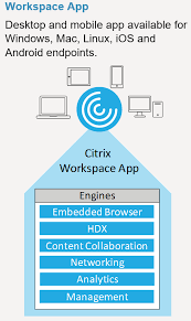 Only citrix workspace app is needed to use skype for business. Workspace App