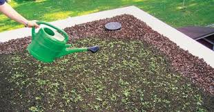 Dachbegrunung Anlage Pflege Und Kosten Dachbegrunung Flachdach Begrunung Dach