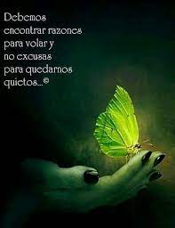 Encuentra Razones No Excusas Excusas Frases Frases Frases Bonitas Para Compartir