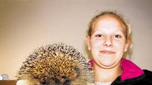 Reger Betrieb im Igel-Heim