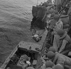 Image result for Blu Fiordo 1976 Fleet