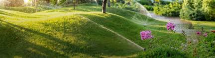 Lawn sprinkler spaying water over green grass irrigation system. Irrigation System Services And Maintenance Green And Black
