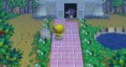 You can't pick them like other flowers, but you can dig them up with your shovel and plant them elsewhere. Jacob S Ladder Animal Crossing Wiki Fandom