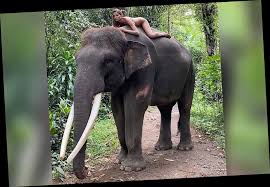 Mantan petenis nomor satu dunia tersebut bahkan. V75rpck0kvbt5m