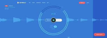 Drag and drop your audio track and have it mastered online instantly within the browser for free. Schnalz Free Live Cloud Mastering Online Service Producer Spot