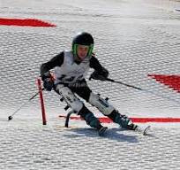 Plastic Bristles Dendix Dry Ski Slope Carpet – Durable, High ...