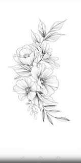 Pin On Flower Drawing