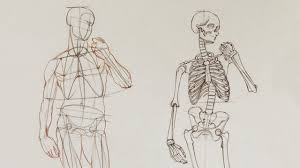 Most of the activities in this manual utilize anatomical. Human Body Anatomy Anatomy Master Class Youtube