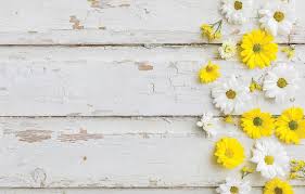 6-6-23 Leader E-Edition by The Fannin County Leader