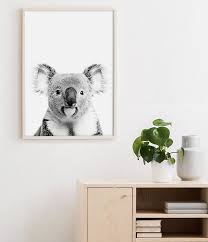 Black And White Koala Print Australian Animal Prints Australian Gifts Australian Animals Koala W In 2020 Photography Prints Art Photography Wall Art Art Wall Kids