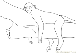 Some of them look very cute you won't believe they're actually a monkey. Relaxing Monkey Coloring Page For Kids Free Monkey Printable Coloring Pages Online For Kids Coloringpages101 Com Coloring Pages For Kids