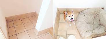 玄関の犬のスペース 犬のスペース 犬と暮らす家 犬