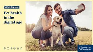 Make sure that you sign up with the same email that you provided to the clinic. Boehringer Ingelheim On Twitter We Re Proud To Introduce Petpro Connect A Mobile App Web Portal That Lets U S Petowners Request Appointments Submit Rebates Access Pet Medical Records On Their Phones