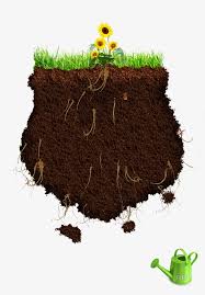 Muchos factores y diversas sustancias pueden alterar las características y función de los suelos agrícolas... esto genera una