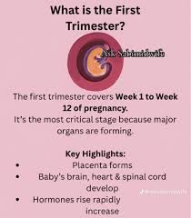 Image result for First Trimester Education