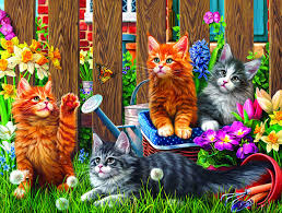 Great ocean road and the 12 apostles, victoria, australia. Sunsout Inc Kittens In The Garden 300 Pc Jigsaw Puzzle Buy Online In Aruba At Aruba Desertcart Com Productid 175122568