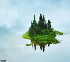 25 صورة محيرة من مصوري ناشونال جيوغرافيك رائج Nature Reflection Photography National Geographic