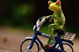A pair of frogs on a vintage bicycle. Can You Really Pick The Difference Between A Bicycle And A Frog Peoplemax Executive Coaching Sydney Melbourne Brisbane Perth Canberra Adelaide And New Zealand