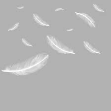 Bird Feather Clipart Black And White Floating Falling Feather Png Free Download Feather Feathers Feathers Falling Png Transparent Image And Clipart For Free Download Feather Falls Feather Background Feather Graphic